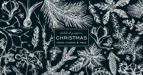 Christmas banner design. Winter plants vintage background. Conifer trees, winter flowers, berry sketches. Hand drawn vector illustration on chalkboard. NOT AI generated